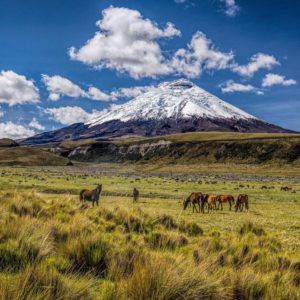 Ecuador – Climb Cotopaxi and Chimborazo - Image 2