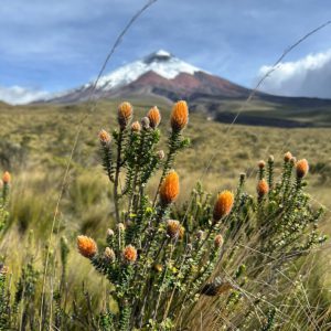 Ecuador – Climb Cotopaxi and Chimborazo - Image 4